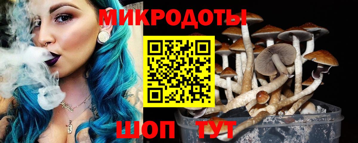 Можга  Галлюциногенные грибы ЛСД  Вход с VPN 